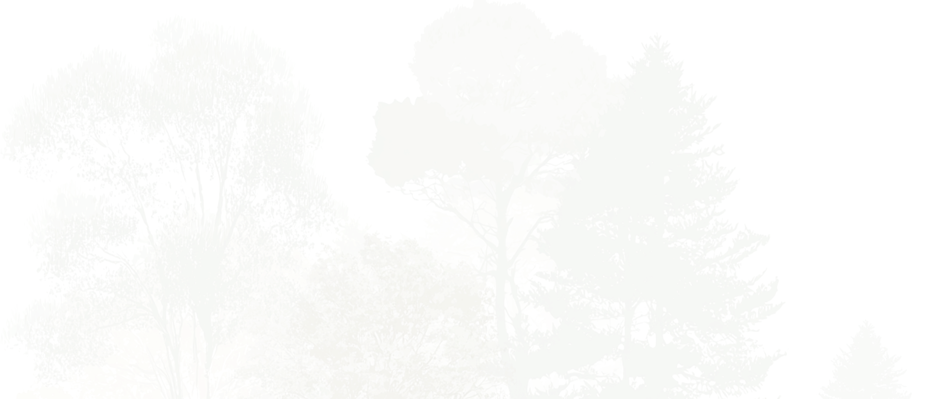 background pattern footer